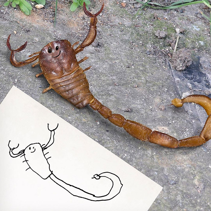 scorpion with face Photoshop
