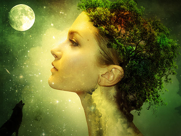 Create a Fantasy Nature in Photoshop